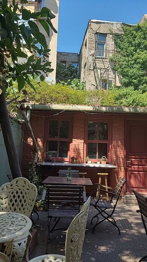 The lovely garden! at Kumin Vegan Lezzetler in Istanbul