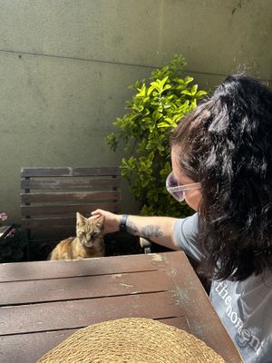   at Kumin Vegan Lezzetler in Istanbul