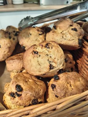 Fruit scones at National Trust Gibside Market Place Cafe in Gateshead