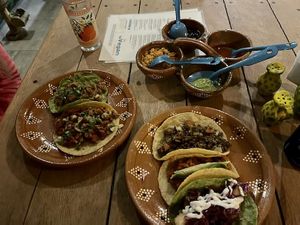 All this under 10$ USD….Tips welcomed!  at La Vegan Taqueria in Tulum