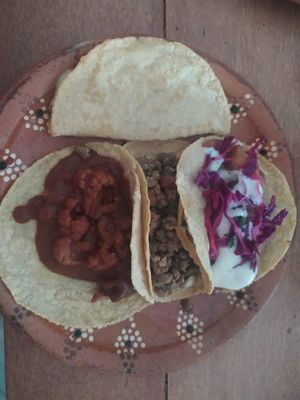  at La Vegan Taqueria in Tulum