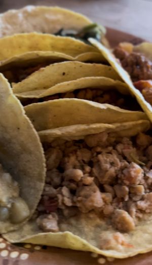 Had to try as many tacos as possible! 🌮😅  at La Vegan Taqueria in Tulum