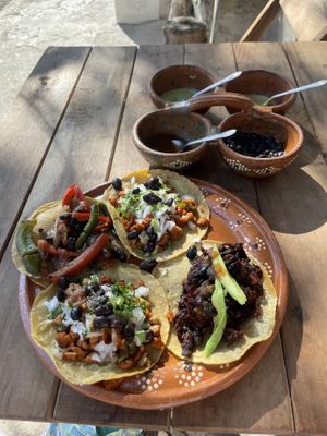 I love these plates, just amazing food  at La Vegan Taqueria in Tulum