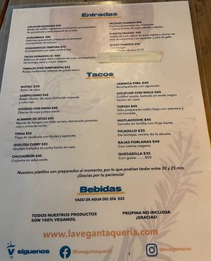   at La Vegan Taqueria in Tulum