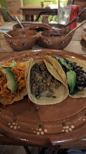  at La Vegan Taqueria in Tulum