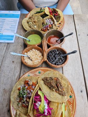 so good!!  at La Vegan Taqueria in Tulum