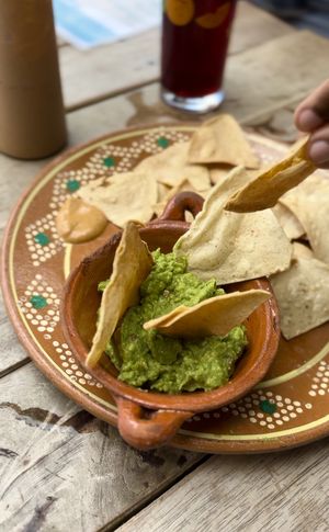 Guacamole and chips (free chip refills!)  at La Vegan Taqueria in Tulum