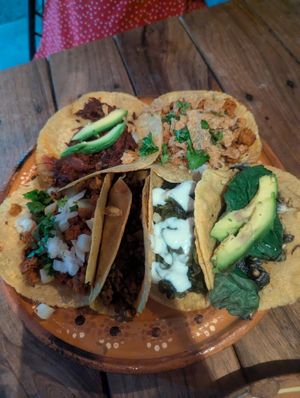  at La Vegan Taqueria in Tulum