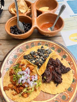   at La Vegan Taqueria in Tulum