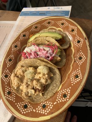   at La Vegan Taqueria in Tulum