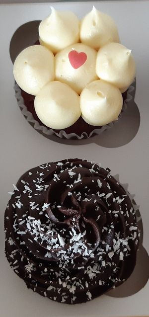 Red velvet & double chocolate at Crave Food Bakery  in Udine