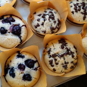 Vegan Blueberry Muffins  at Crave Food Bakery  in Udine