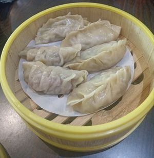Gyoza vegetable dumplings (may contain nuts) at Vegsu in Panama City