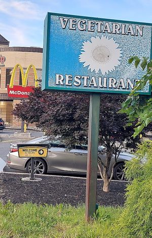 Right beside a McDonald's! at Sunflower Vegetarian Restaurant in Vienna
