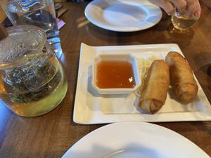Spring rolls and jasmine tea  at Sunflower Vegetarian Restaurant in Vienna