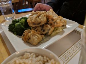 Crispy Orange Eggplant at Sunflower Vegetarian Restaurant in Vienna
