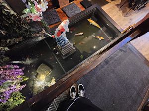 Koi carp at Little Tokyo in Leeds
