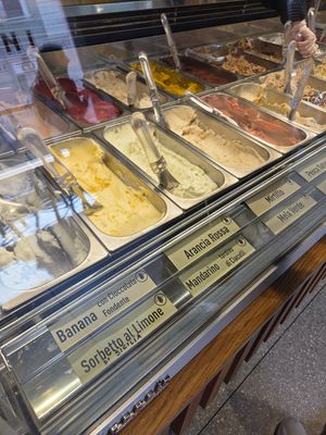 Vegan ice creams on display at Leoni Gelateria in Monza