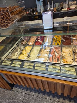 Vegan ice creams on display at Leoni Gelateria in Monza