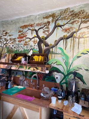  at City Bliss in Athens