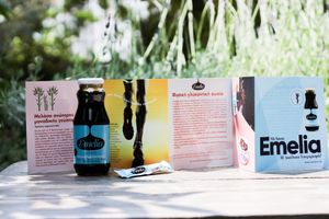  at City Bliss in Athens