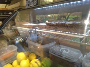 Energy bars at City Bliss in Athens