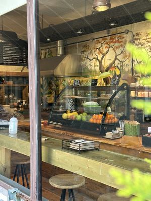 Blick aus dem Hof ins Schaufenster  at City Bliss in Athens