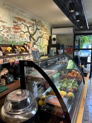 Blick auf die Bar und Regenwald Wandbemalung  at City Bliss in Athens