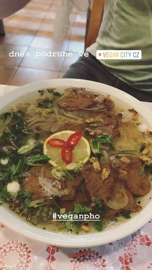 pho at Vegan City - Husitska in Prague