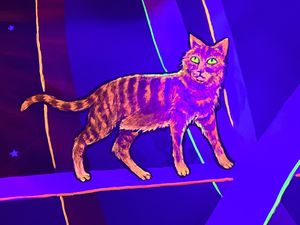 Look for the secret rooms!  at McMenamins in Kalama