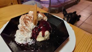 Vegan ice cream with soy cream at Waltini's Stadl in Langdorf