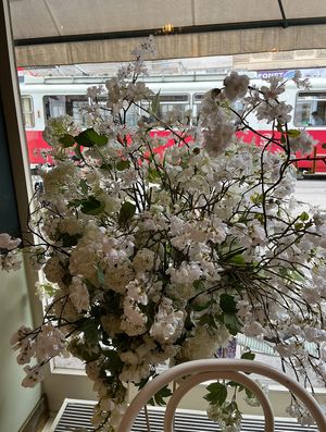   at Crème de la Crème in Vienna