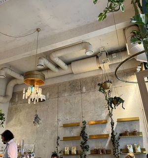   at Crème de la Crème in Vienna