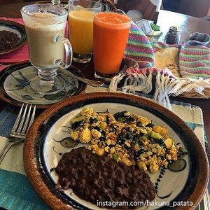 Tofu scramble with spinach and beans at Hotel Santa Fe in Puerto Escondido