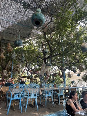   at Sirincem in Sirince