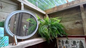 Beautiful composting toilet at Esk Yurt in Peebles