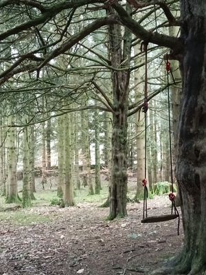  at Esk Yurt in Peebles