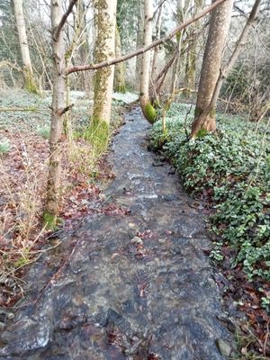  at Esk Yurt in Peebles