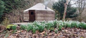 Fabulous location  at Esk Yurt in Peebles