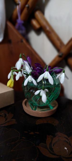 Beautiful   at Esk Yurt in Peebles