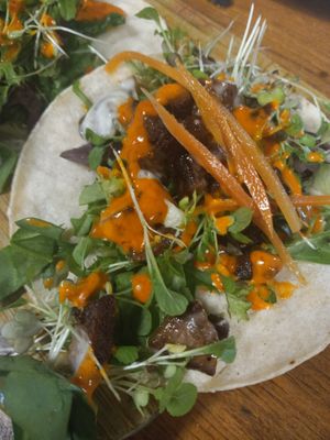 Korean BBQ seitan tacos at Maximum Zen in Clarks Summit