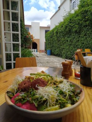  at Aguacate Veggie Bar in San Cristobal De Las Casas