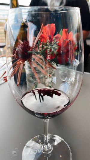 Syrah at Amavi Cellars in Walla Walla