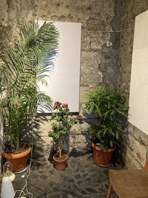 Entry  at Greenr Cafe in Mumbai