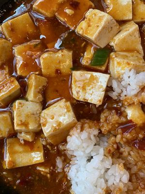 mapo tofu closeup   at Haeolbin Deopbap - 하얼빈덮밥 in Seoul