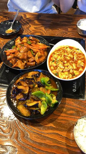 We ordered the pork dish, mapo tofu and the eggplant dish. The eggplant dish was the highlight   at Haeolbin Deopbap - 하얼빈덮밥 in Seoul