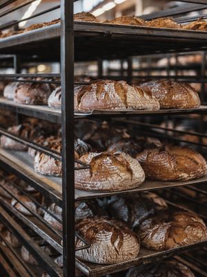  at Joseph Brot in Vienna