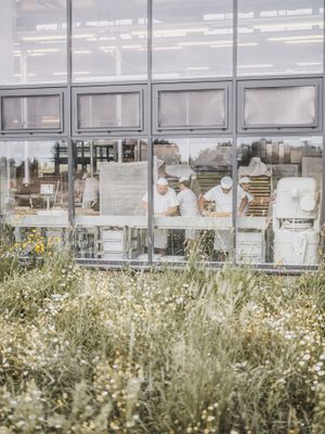  at Joseph Brot in Vienna