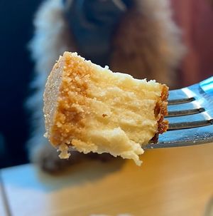 The CHEESECAKE at Peace Beast in Hong Kong Island