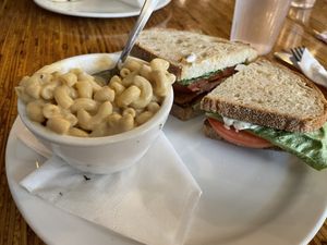   at The Owlery in Bloomington